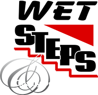 Wet Steps Logo